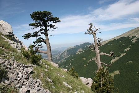 Monte Pollino (2.248 m) jeden z nejvyšších vrcholů stejnojmenného masivu.